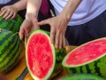 无锡大学吃瓜,吃瓜群众揭秘校园美食风云