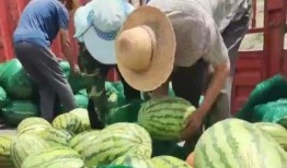 卖瓜吃瓜微信头像,卖瓜吃瓜的微信头像背后的故事