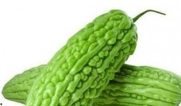 每天在吃不同的瓜,探索美食世界的缤纷色彩