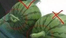 吃瓜群名字,揭秘吃瓜群里的那些事儿