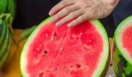 广州高校吃瓜视频