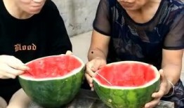 吃瓜有收入吗,揭秘网络吃瓜经济的崛起