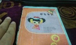 吃瓜日记2.0合集