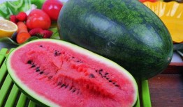 小撒瓜吃西瓜,小撒瓜的甜蜜西瓜之旅