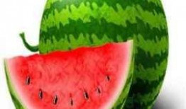 吃丑瓜胖吗,吃丑瓜真的会胖吗？