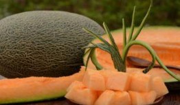 哈密瓜几月份吃合适,哈密瓜最佳食用月份大盘点