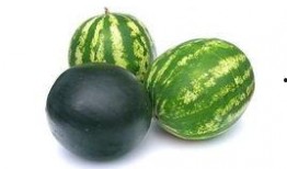 盘锦吃瓜事件视频,一场网络热议的瓜田奇遇