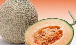 怀孕的人可以吃哈密瓜不,营养美味两不误