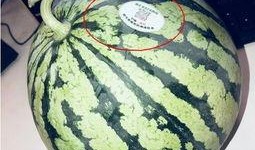 山西网红吃瓜,揭秘当地美食背后的故事