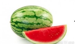 夏季吃的瓜
