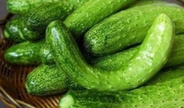 民国吃瓜下载,揭秘民国时期吃瓜群众的趣味生活