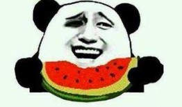 忧伤吃瓜郭甜甜