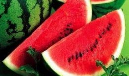 不吃瓜那吃啥,探索多元娱乐新选择