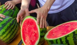 大学肩带吃瓜,揭秘校园里的“吃瓜”文化现象