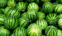 波哥吃瓜季,揭秘娱乐圈幕后风云