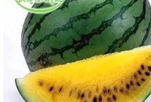 世界吃瓜法则,揭秘世界各地的独特美食文化