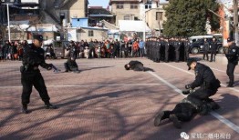 警匪搏斗吃瓜视频