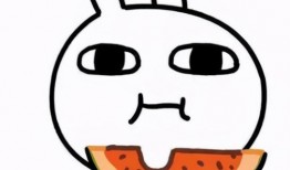 买瓜吃情感,品味人生百态