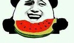 吃瓜群众的知识,吃瓜群众视角下的明星生活