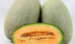 饭后多久吃哈密瓜,饭后多久享用哈密瓜最适宜？揭秘最佳食用时间