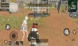 吃鸡吃瓜cp,甜蜜碰撞，笑料横生