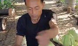 瓜姐瓜哥今日吃瓜