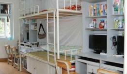 宿舍上铺吃瓜,揭秘宿舍生活的趣味瞬间