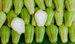 墨西哥怎么吃佛手瓜,佛手瓜的独特食用之道