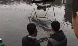 吃瓜鱼塘主,网络红人的崛起与影响力