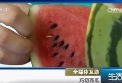 吃瓜不吐籽网名,揭秘“吃瓜不吐籽”的趣味人生