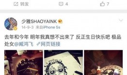 飞飞直播吃瓜,瓜田里的欢乐盛宴