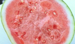 天皇秀吃瓜,揭秘宫廷中的吃瓜群众