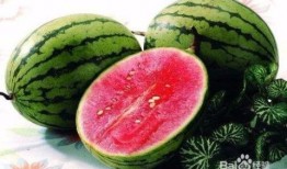 夏天不应吃啥瓜,揭秘夏天不宜食用的瓜类
