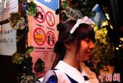 女仆咖啡吃瓜,揭秘幕后趣事