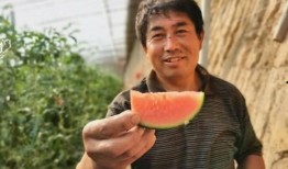 濮阳路吃瓜群众,吃瓜群众见证的街头风云