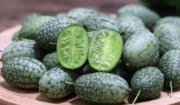 吃瓜的看法,吃瓜群众视角下的娱乐圈风云录