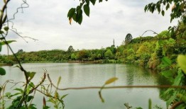 神女湖吃瓜,一场吃瓜盛宴背后的故事