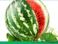 夏季吃瓜的禁忌,揭秘夏季吃瓜禁忌与注意事项