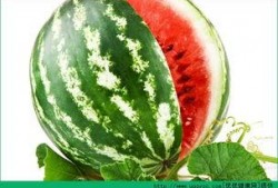 夏季吃瓜的禁忌,揭秘夏季吃瓜禁忌与注意事项