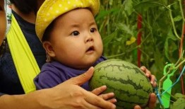 吃瓜长娃娃,揭秘神奇植物与神秘传说