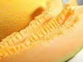 吃黄皮哈密瓜