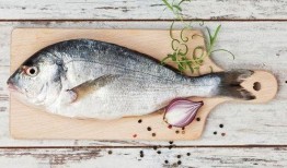 江鱼吃瓜队长,揭秘网络红人的魅力与影响力