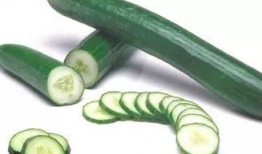 黄守瓜为何只吃瓜叶子,黄守瓜偏食瓜叶之谜探究