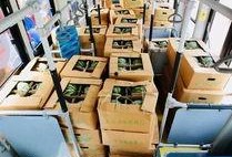 吃瓜公交,揭秘公交车上那些令人捧腹的趣事