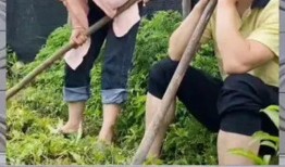 娱乐八卦一定是吃瓜群众的,揭秘“吃瓜群众”的娱乐八卦盛宴