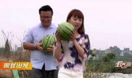 濮阳路吃瓜群众,吃瓜群众见证的街头风云