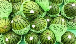 吃瓜江苏旅游,瓜田里的风情万种，尽享江南水乡魅力