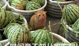 门后面吃瓜,一场意外的美食之旅