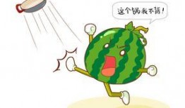 吃瓜流产,网络时代的娱乐风向标