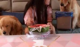 在线吃瓜的颜狗,揭秘娱乐圈颜值担当